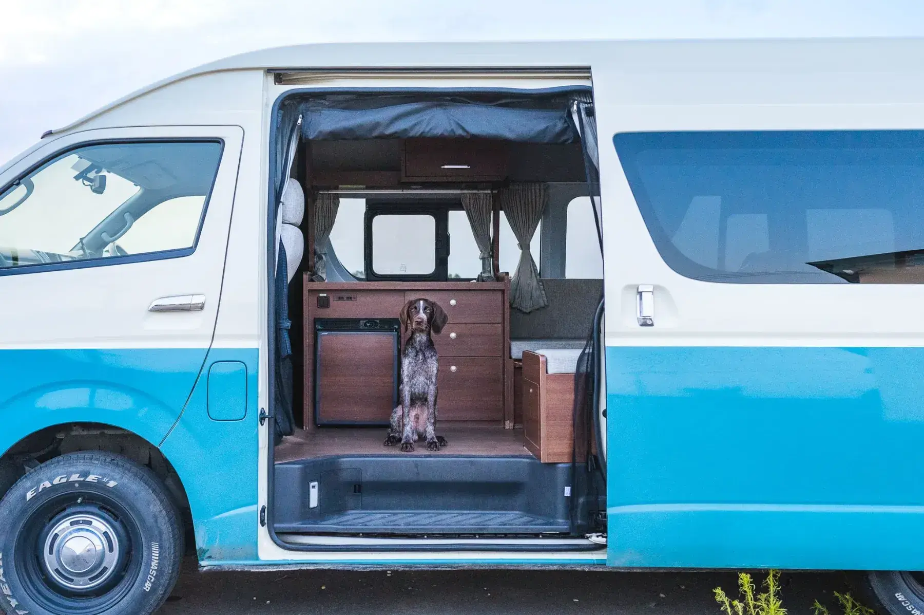 HIACE LEAD