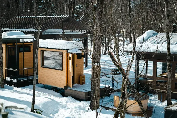 Nature Suite